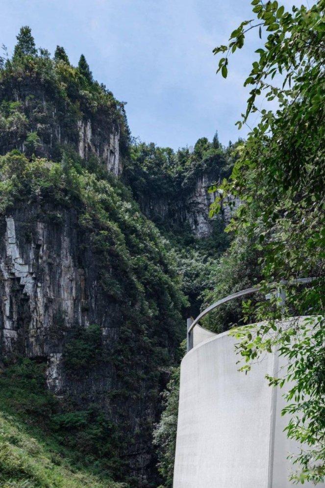 动物帮帮忙保卫家园