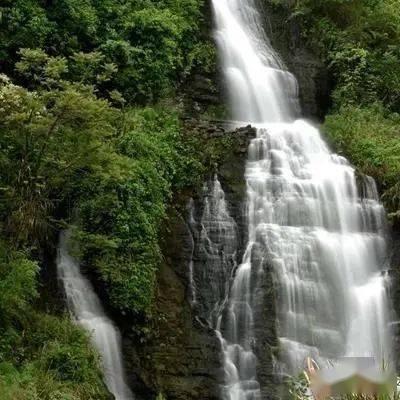 劫后余生：夺回